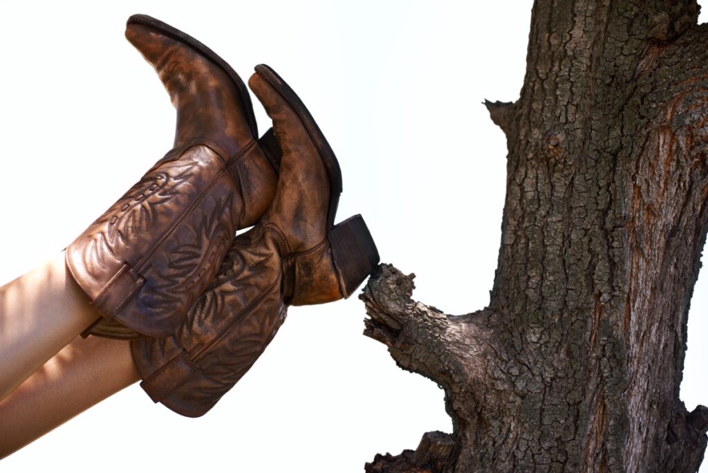 Moda Autunno/Inverno 2026-27: le tendenze della nuova stagione - Be Sicily Mag - western boots leaning against tree in natural ligh 2026 03 25 05 04 50 utc